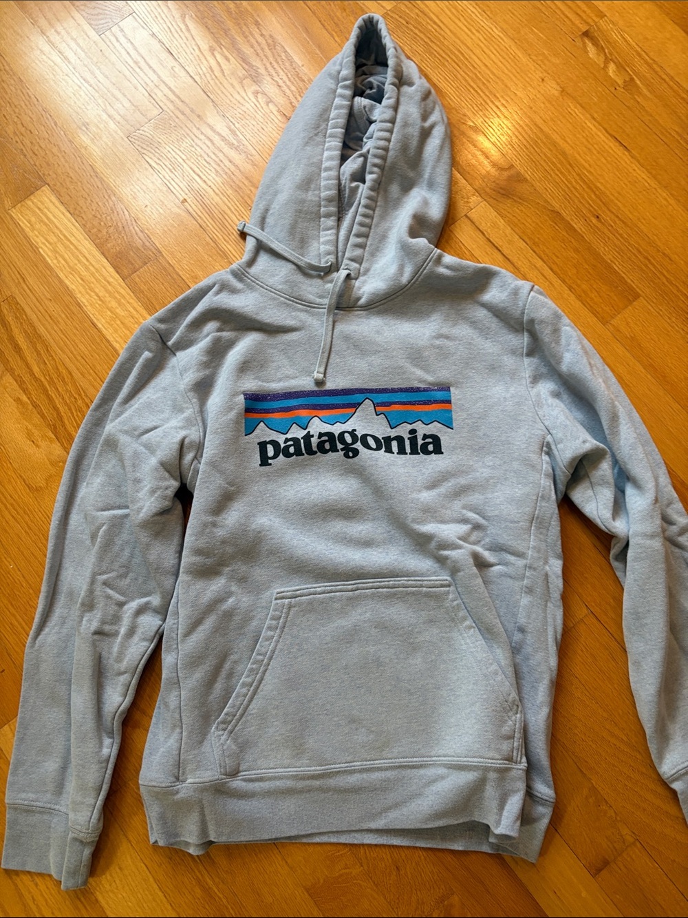 Patagonia Men’s Light Gray Pullover Hoodie with Multicolor Logo